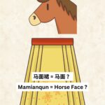 Zhang Ruying - Why This Skirt Called Mamianqun (Horse Face Skirt)? - 1