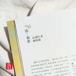 Zhang Ruying - Zhang Ruying's Notes: From《中国妆束：大唐女儿行》Clothing (Sui Dynasty — Early Tang Dynasty) - 1