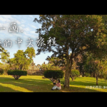 Zhang Ruying - 2025 HSK Short Video Competition: 《一笔一画，书写我的中文旅程》 - 1