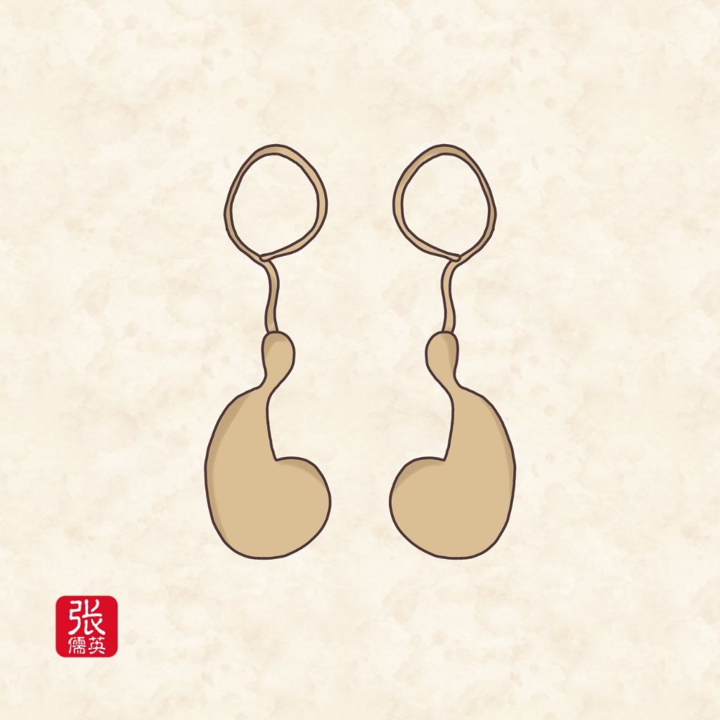 Styles of Ancient Chinese Ear Accessories Zhang Ruying - Styles of Ancient Chinese Ear Accessories - 5